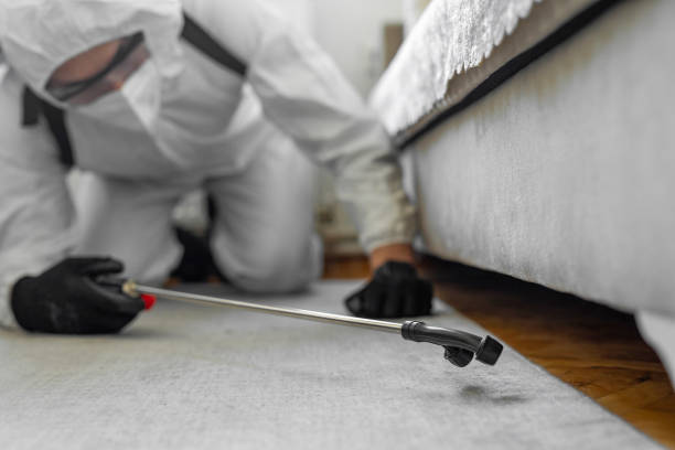 Professional Cockroach Control technician working in Argentine, MI