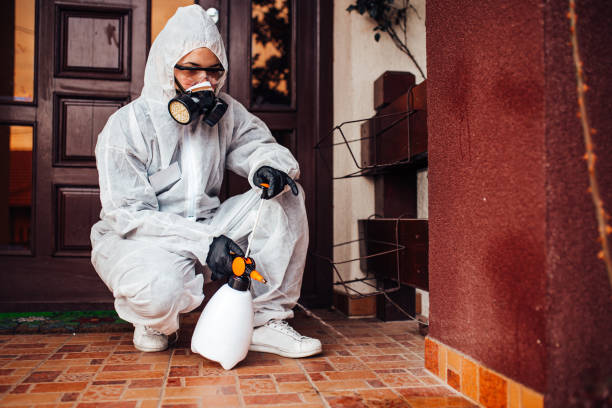 Reliable Cockroach Control contractor in Argentine, MI by Nex Pest Control